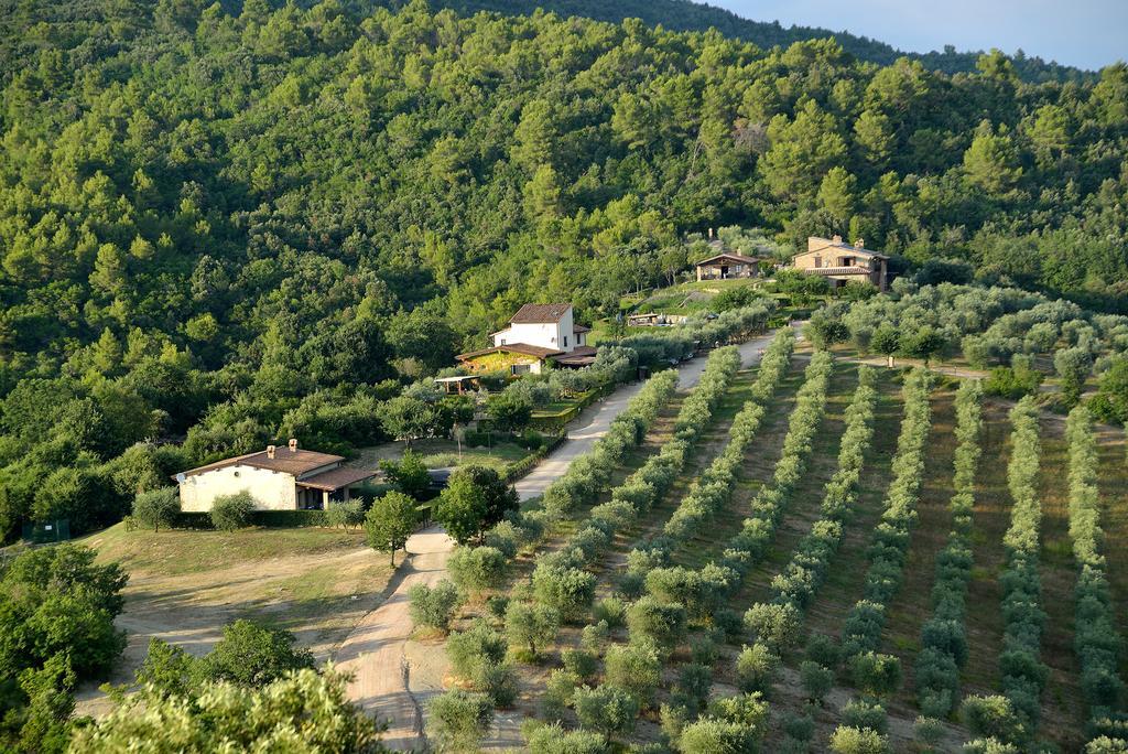 Tenuta Di Forte Sorgnano Gualdo Cattaneo Екстериор снимка